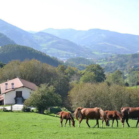 Casa Rural Arriaran Leitza  Exterior photo